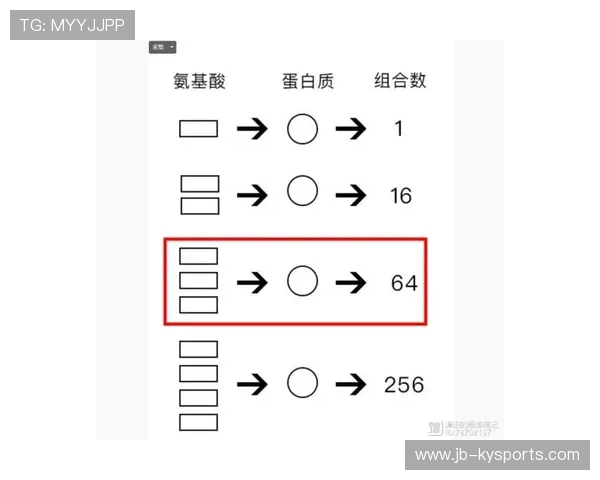详解“肉海诺”的生存逻辑：为什么他能抗住五个人的围攻？